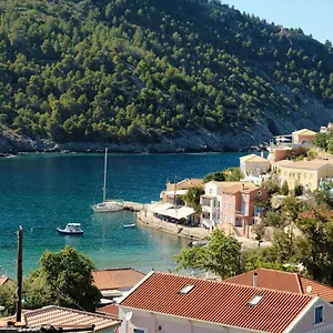 Remvi Assos Asos